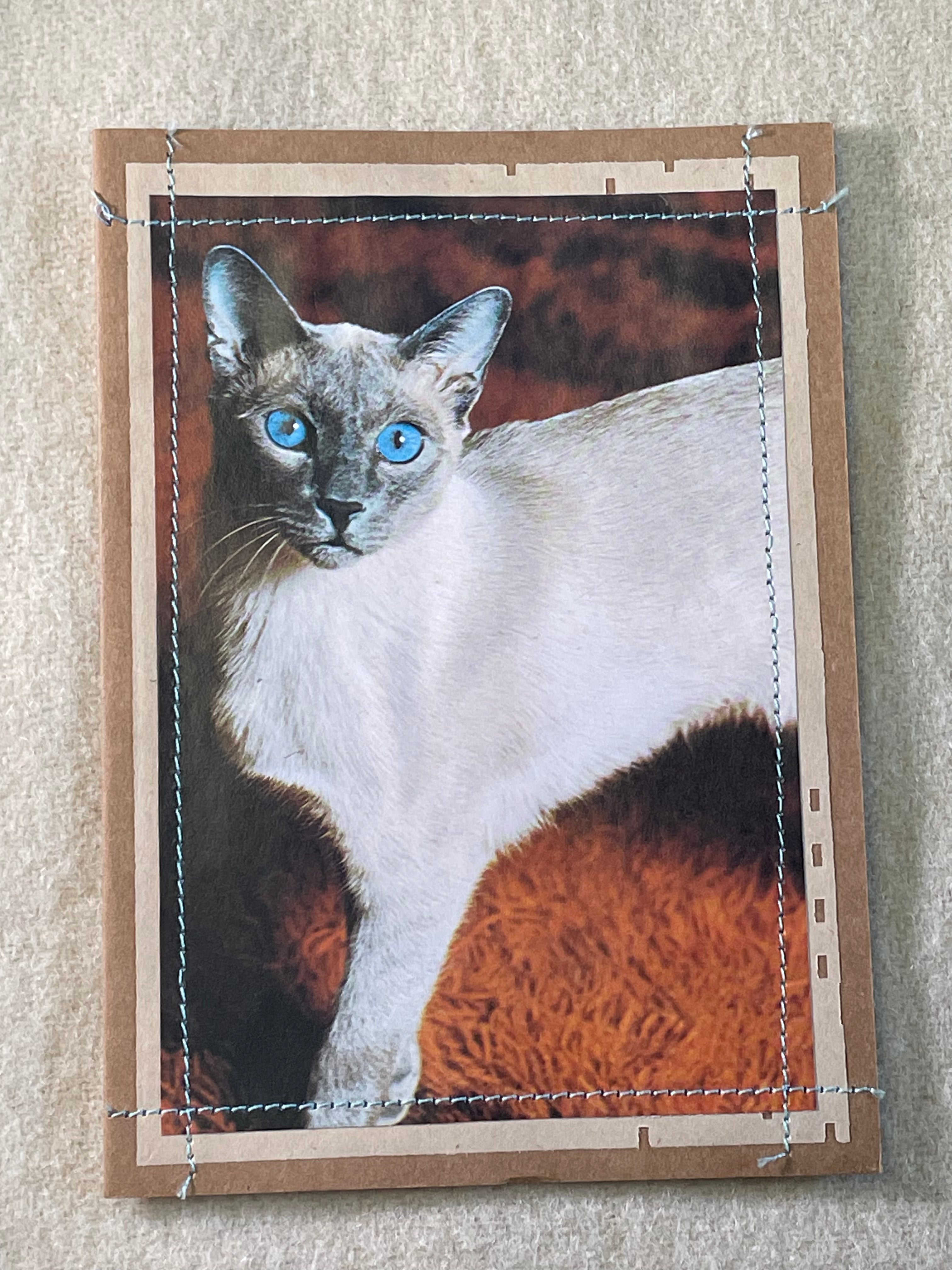 cards-siamese-cat-wellcat