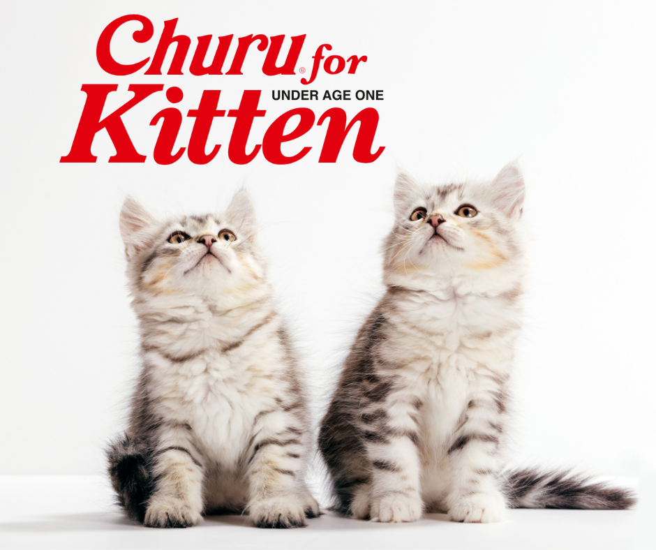Churu for Kitten (Under Age One) Chicken Puree