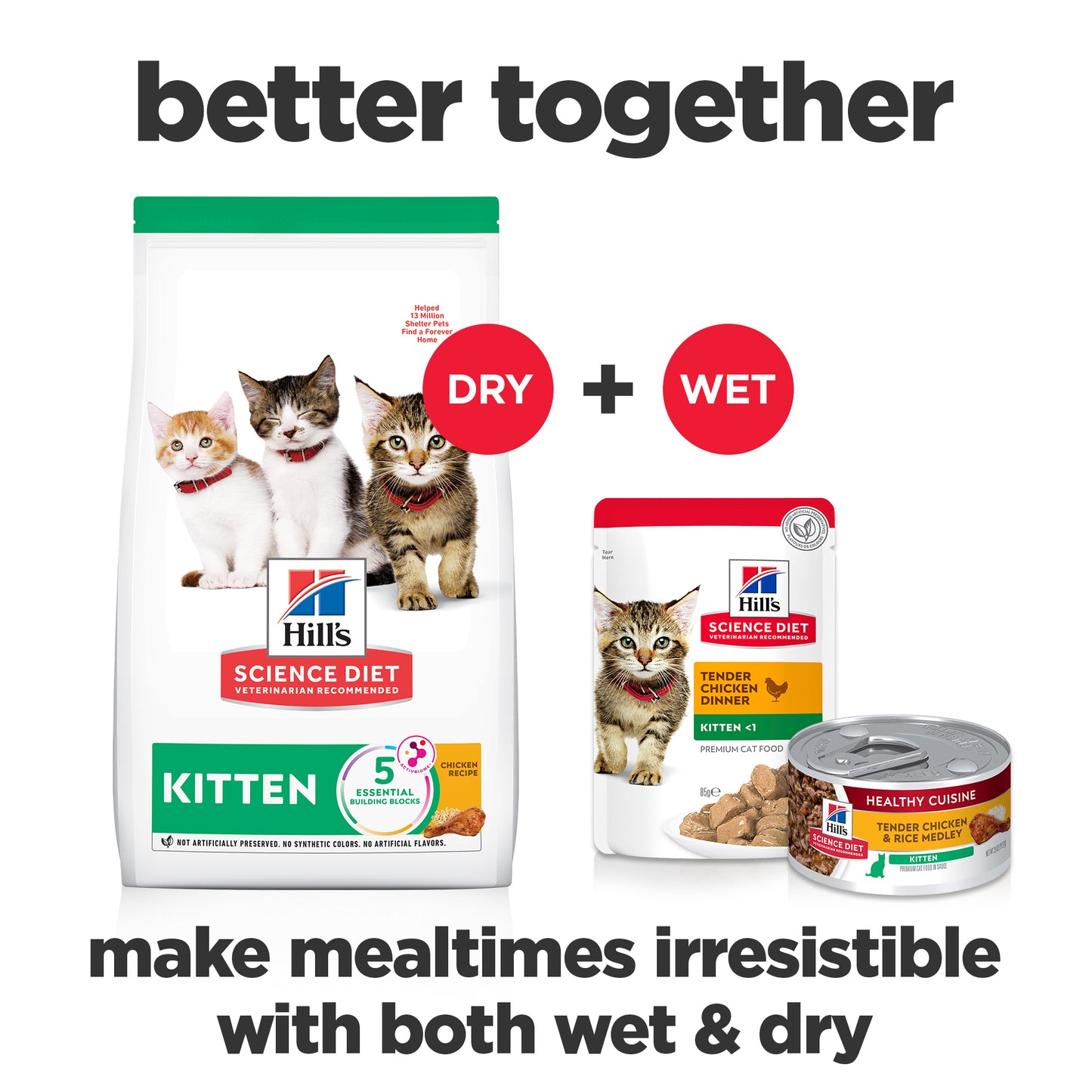 Hill's Science Kitten Dry Food