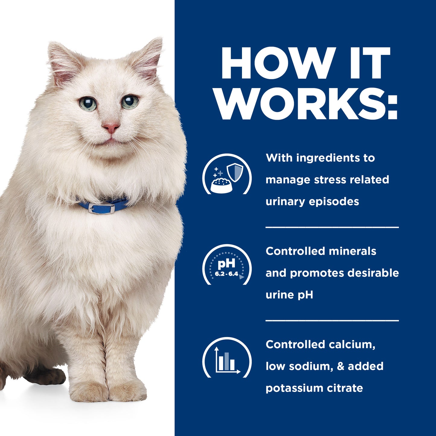 Hill's Urinary Care c/d Multicare Stress