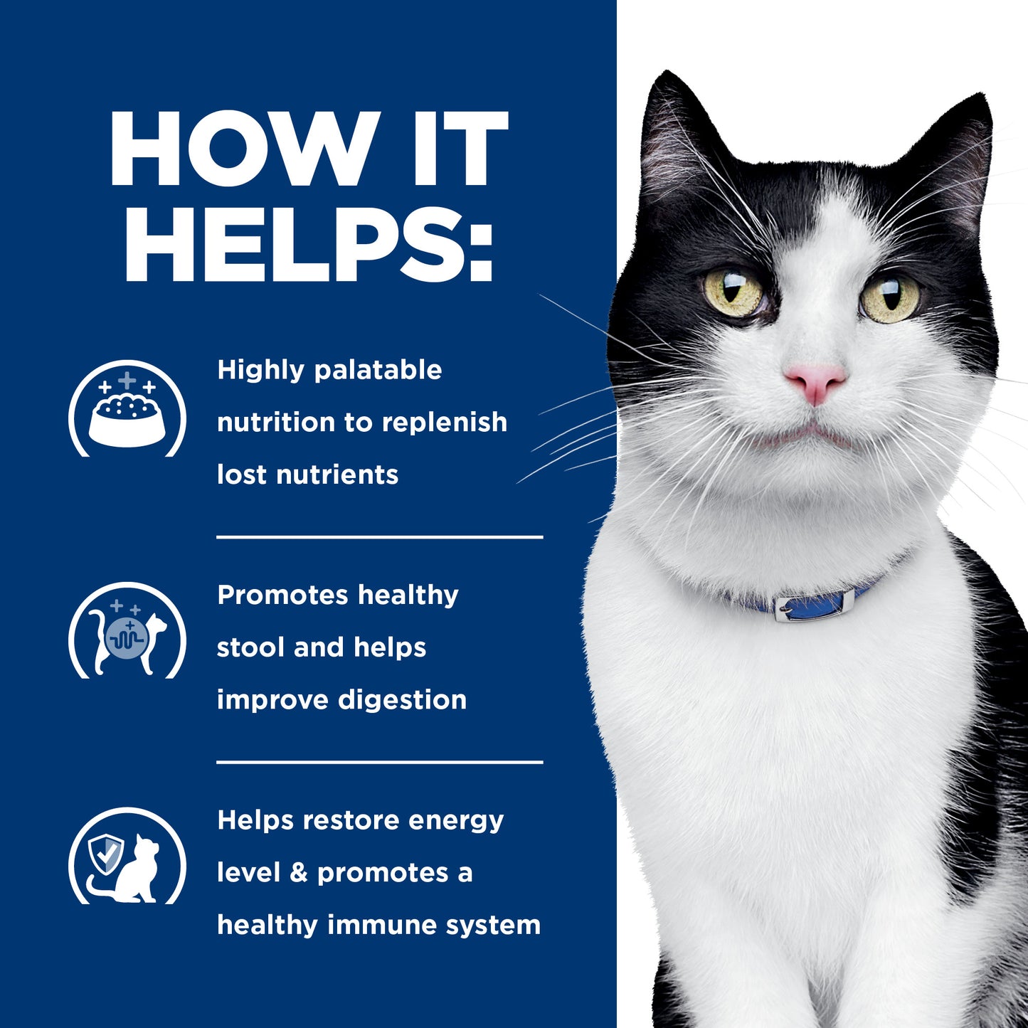 Hill's i/d with Chicken Dry Food