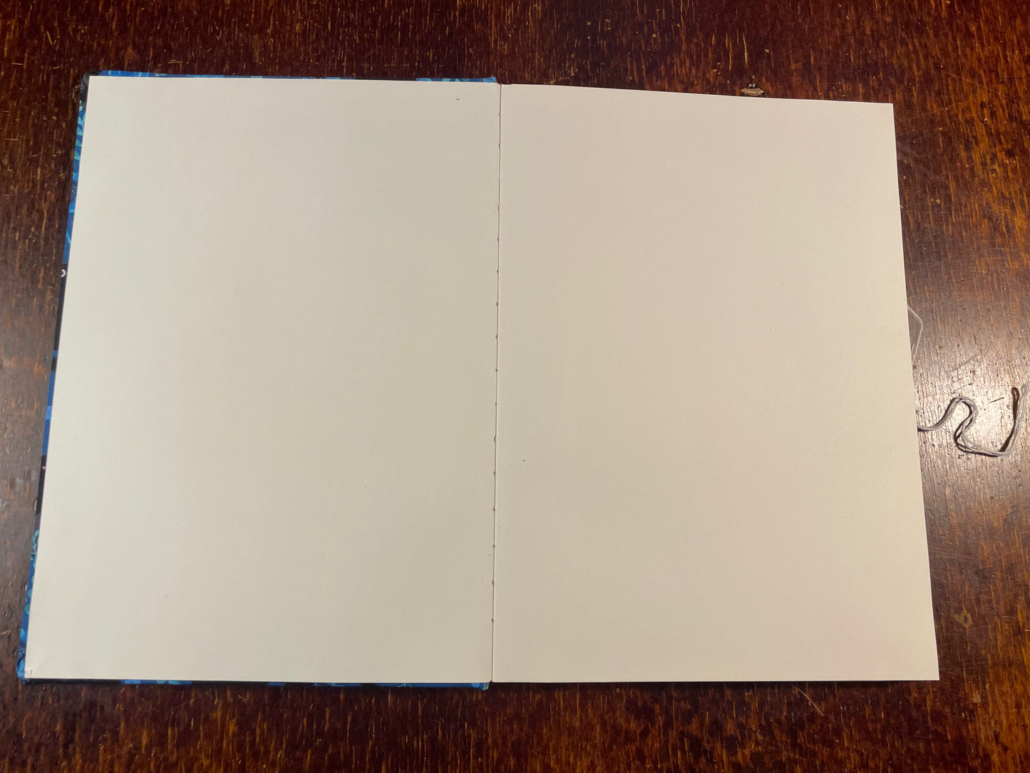 Sketchbook Large : Black Cats on Blue Flowers