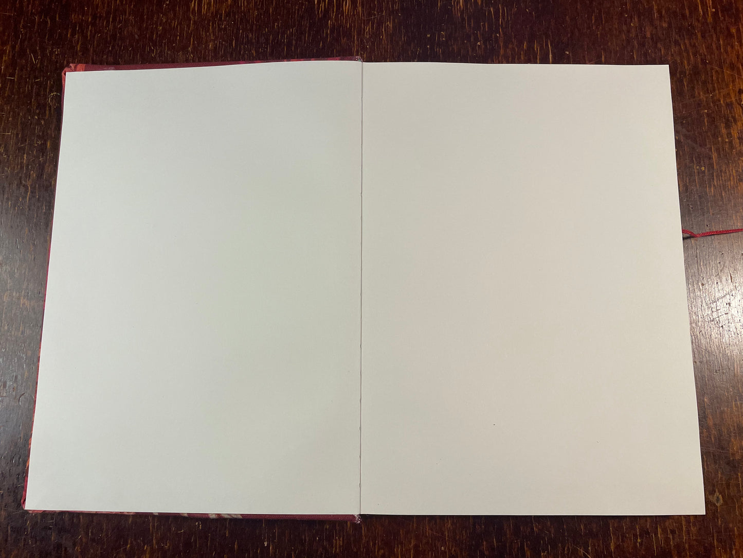 Sketchbook Large : Crimson Large Cat