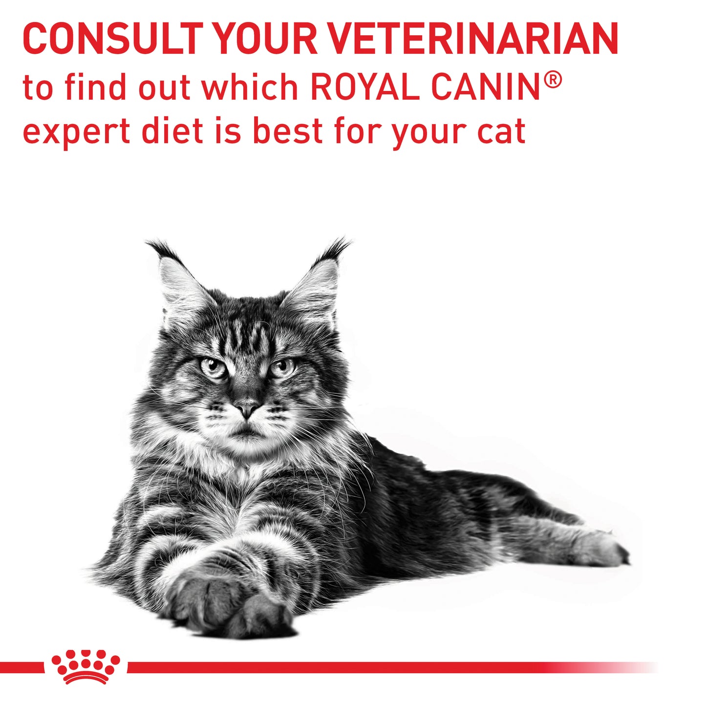 Royal Canin Neutered Satiety Balance Dry Food