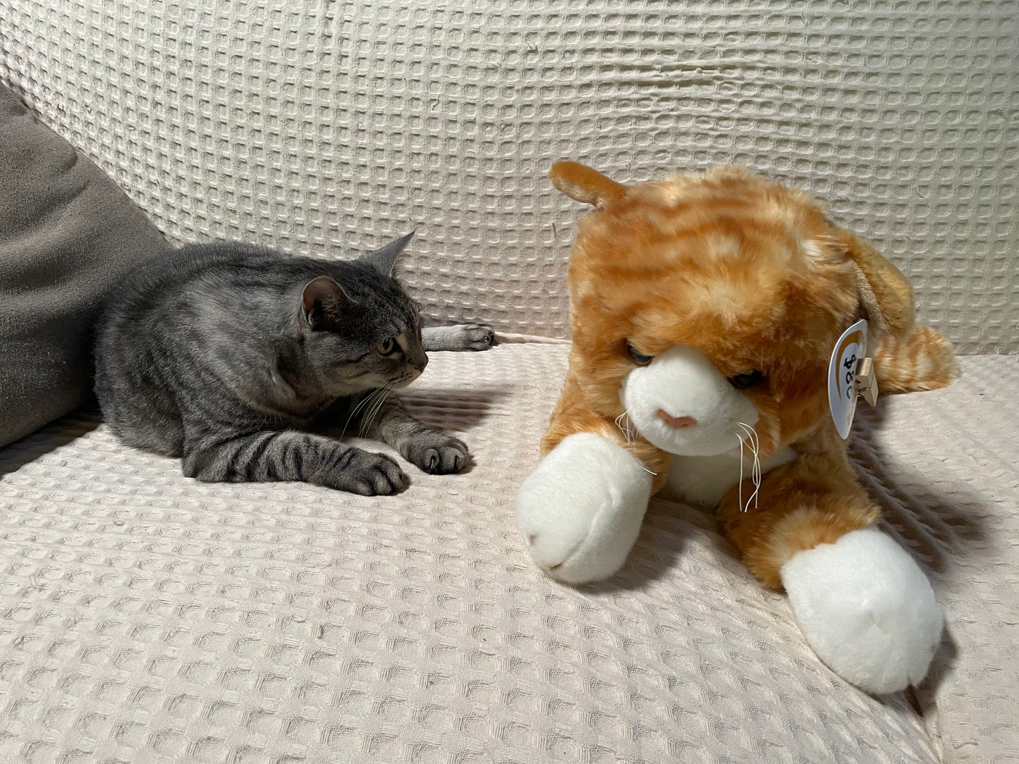 Lil Friends Ginger EcoFriendly Soft Toy - 60cm