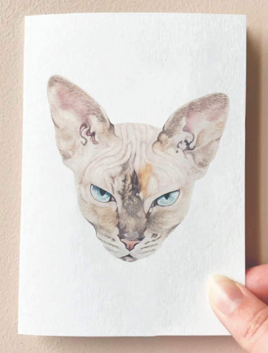 Card : Nyx the Sphinx