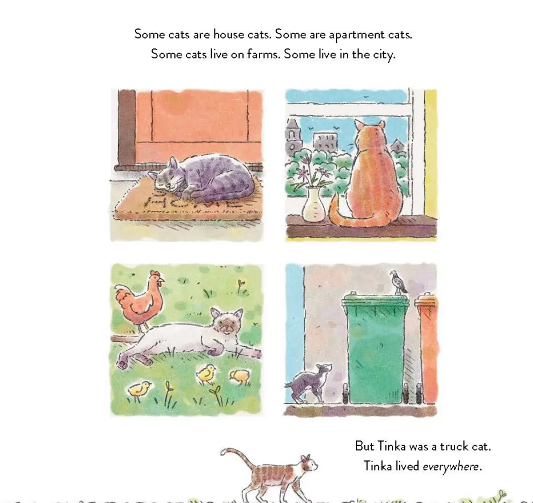 The Truck Cat, by Deborah Frankel and Danny Snell (Hardcover) (Copy)