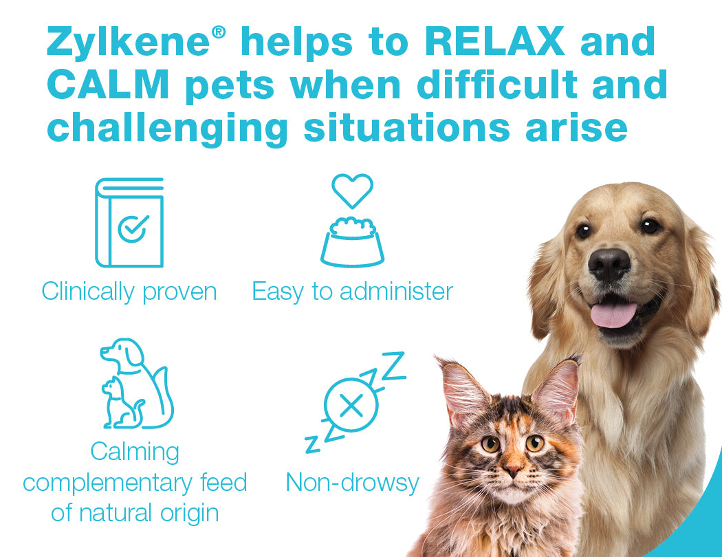 Zylkene Capsules for Kittens