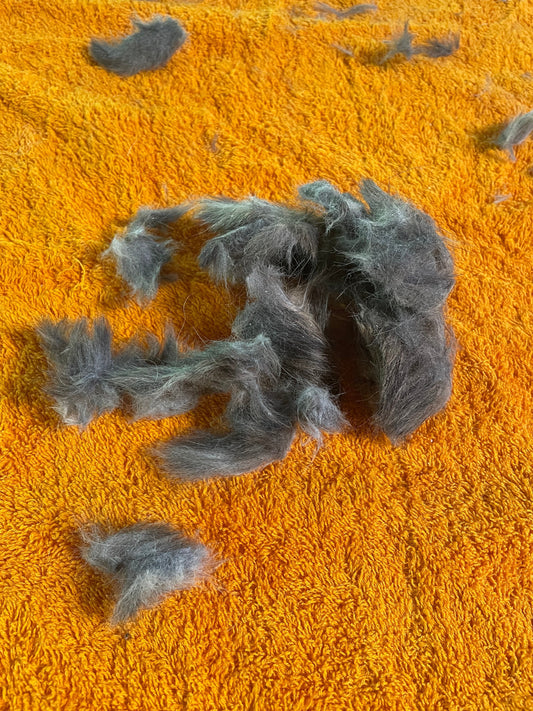why is my cat getting matts?