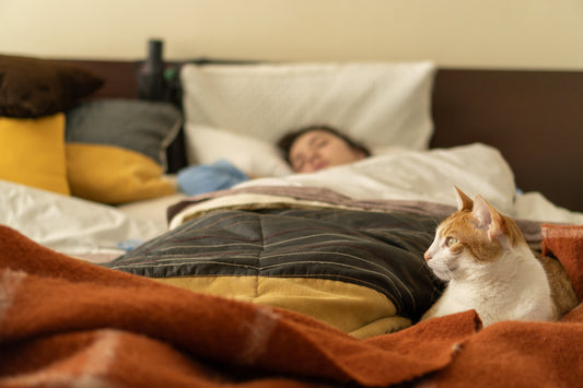 Cat on a bed facing away from a sleeping person
