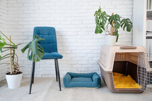 do you keep your cat carrier as furniture?