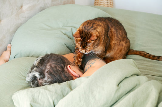 why does my cat wake me up at 4am?