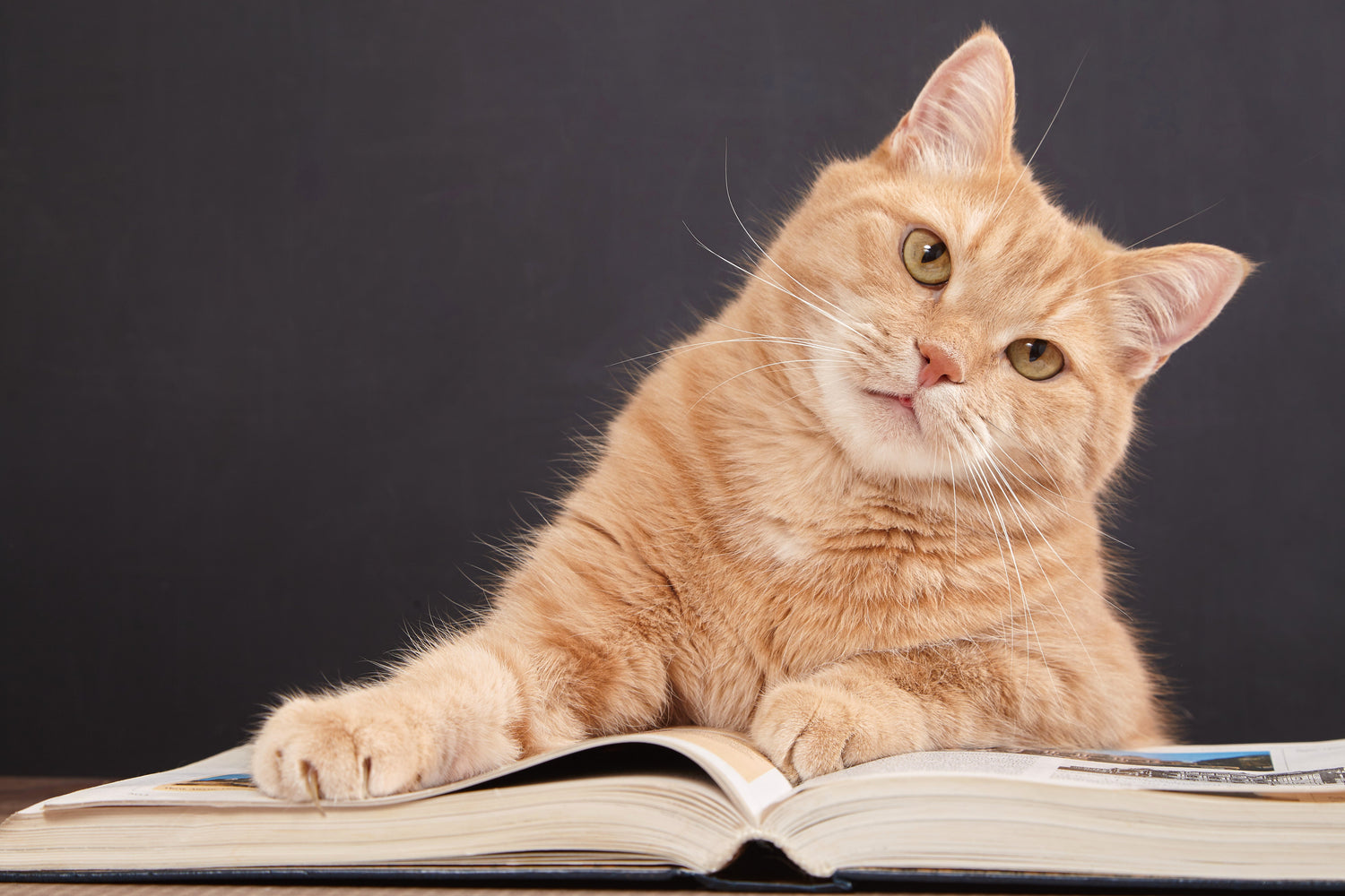 Notebooks
