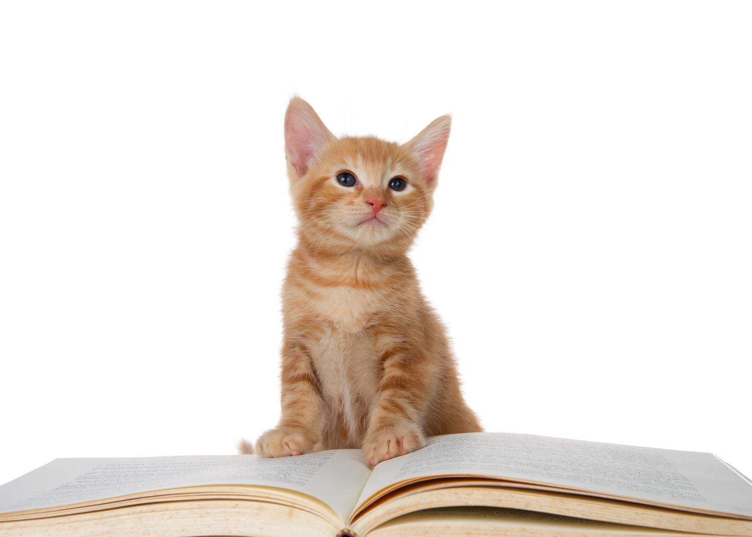 Books - Children