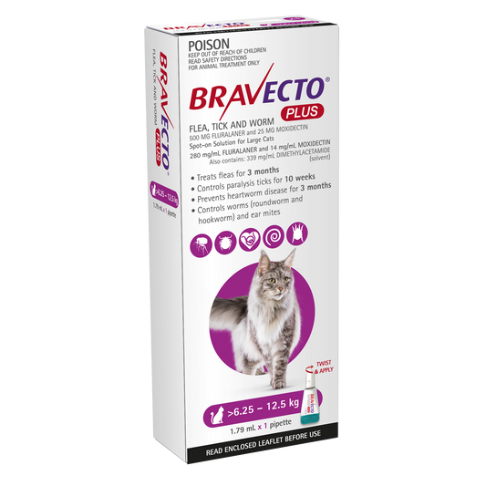 A package of Bravecto Plus Large pack single dose, a flea and tick treatment product for cats. The package is white with red and blue accents, featuring an image of a cat and product details.