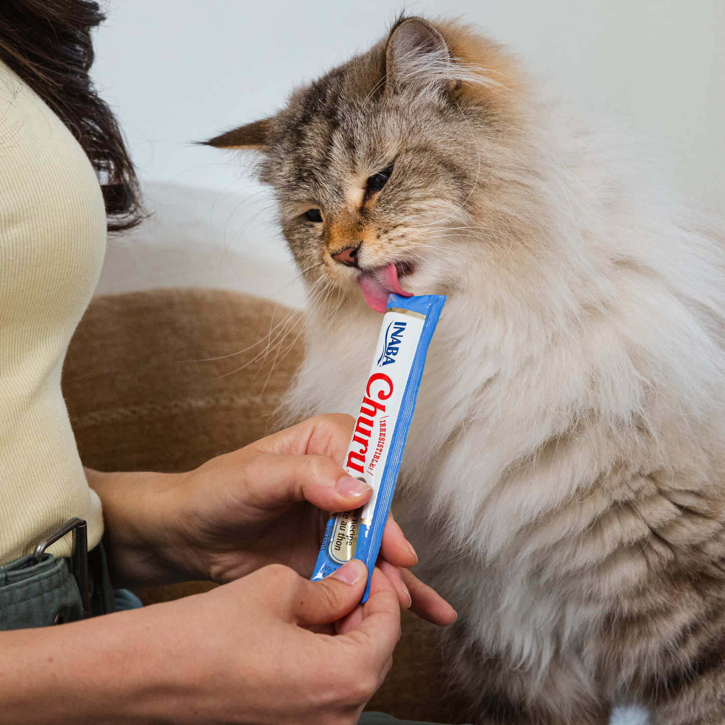 Churu Tuna Recipe Puree Cat Treats
