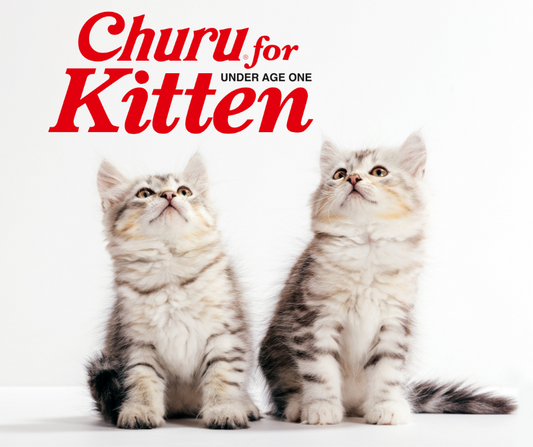 Churu for Kitten (Under Age One) Chicken Puree