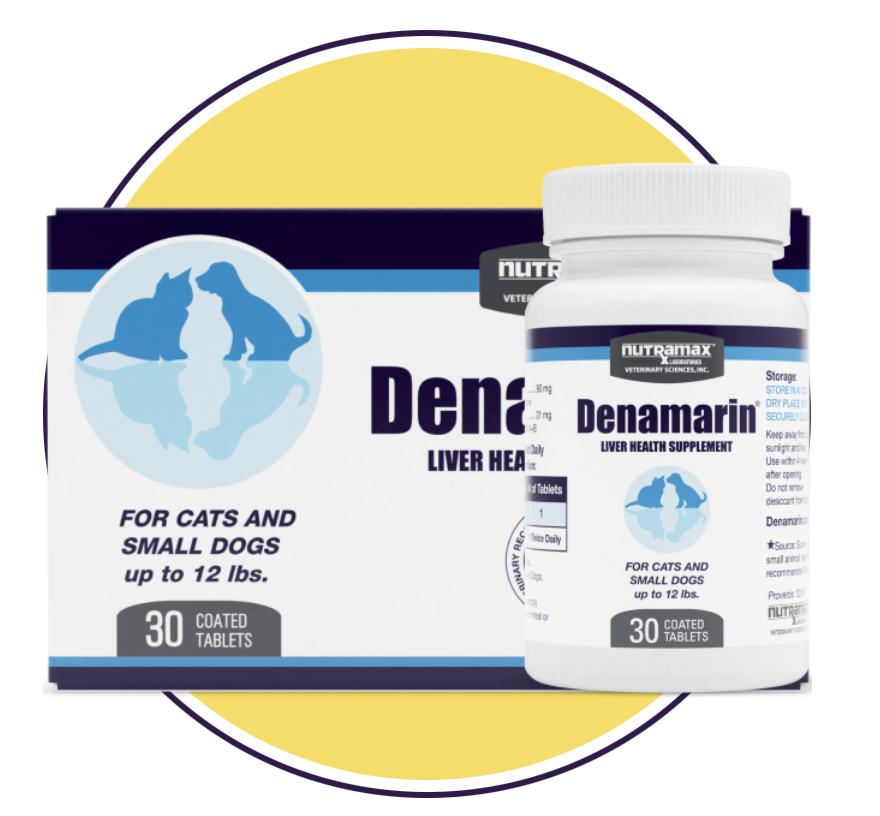 Denamarin For Cats and Small Dogs up to 5kg