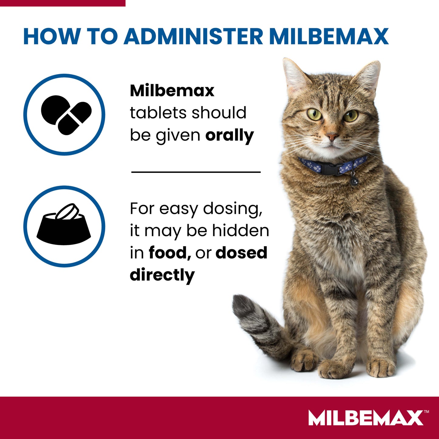 Milbemax Tablets for Cats