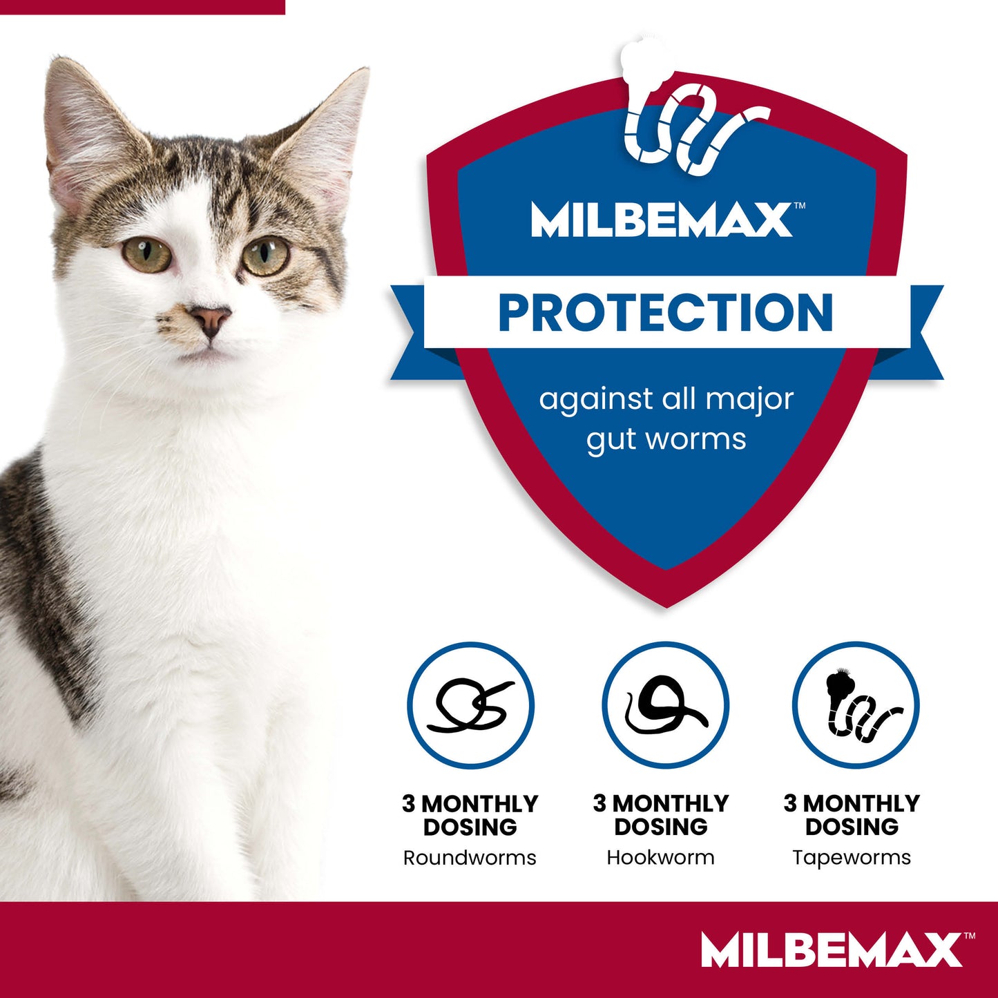 Milbemax Tablets for Cats