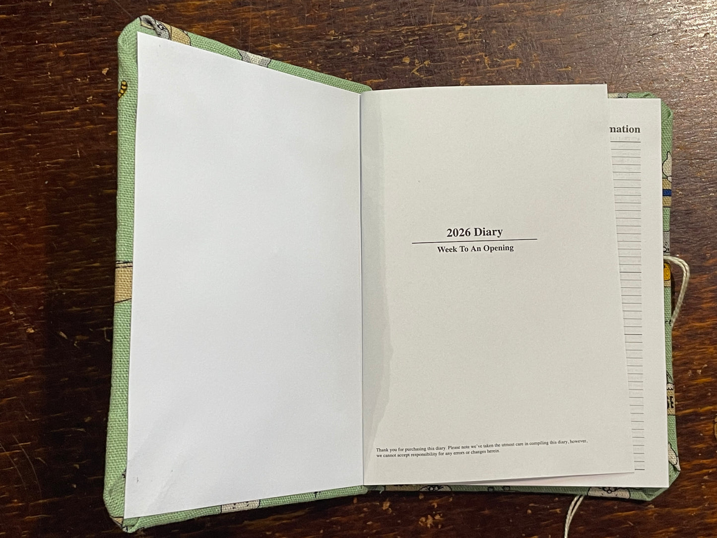 2026 Diary Pocket : Cats in Boxes on Mint