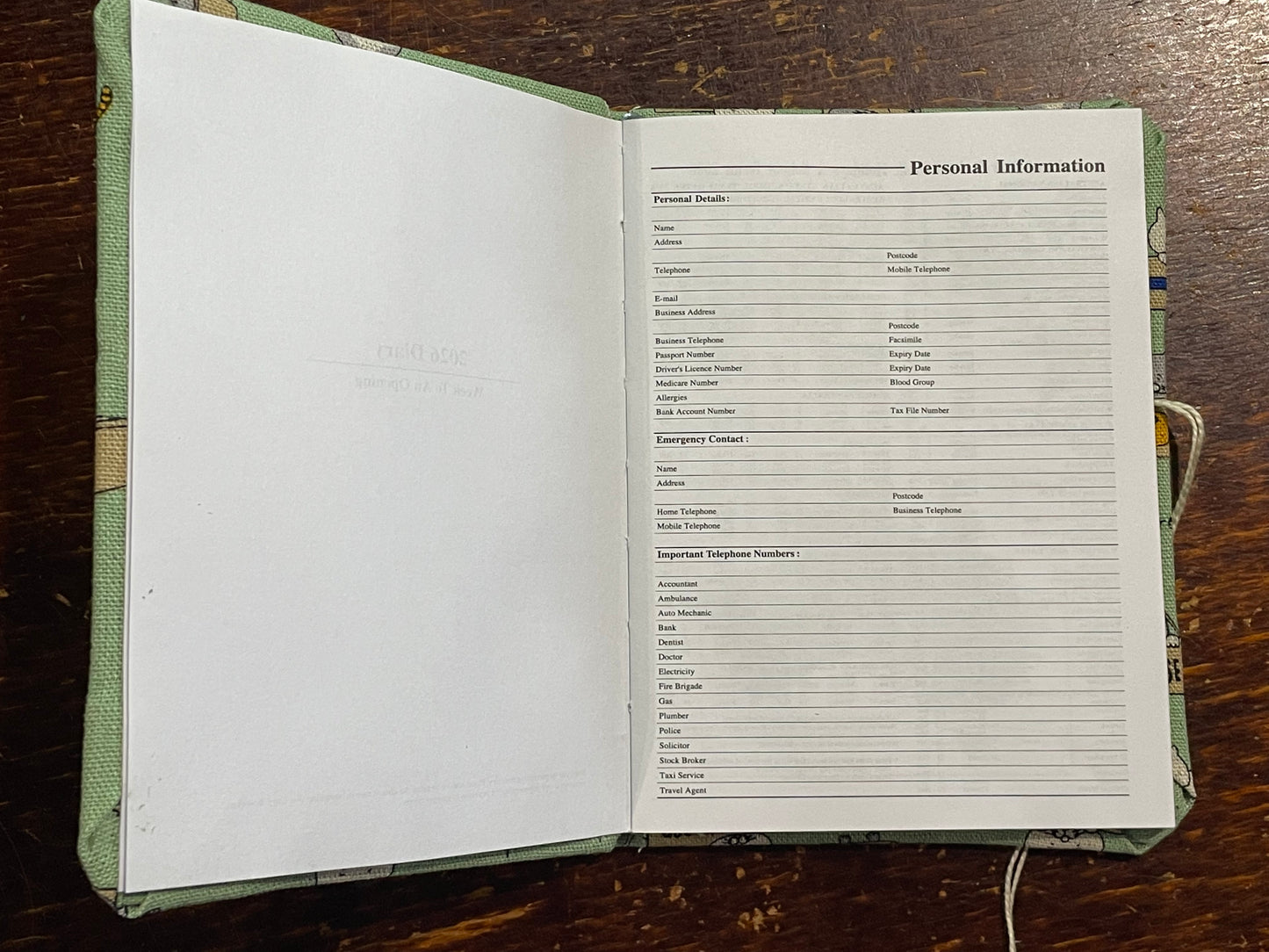 2026 Diary Pocket : Cats in Boxes on Mint