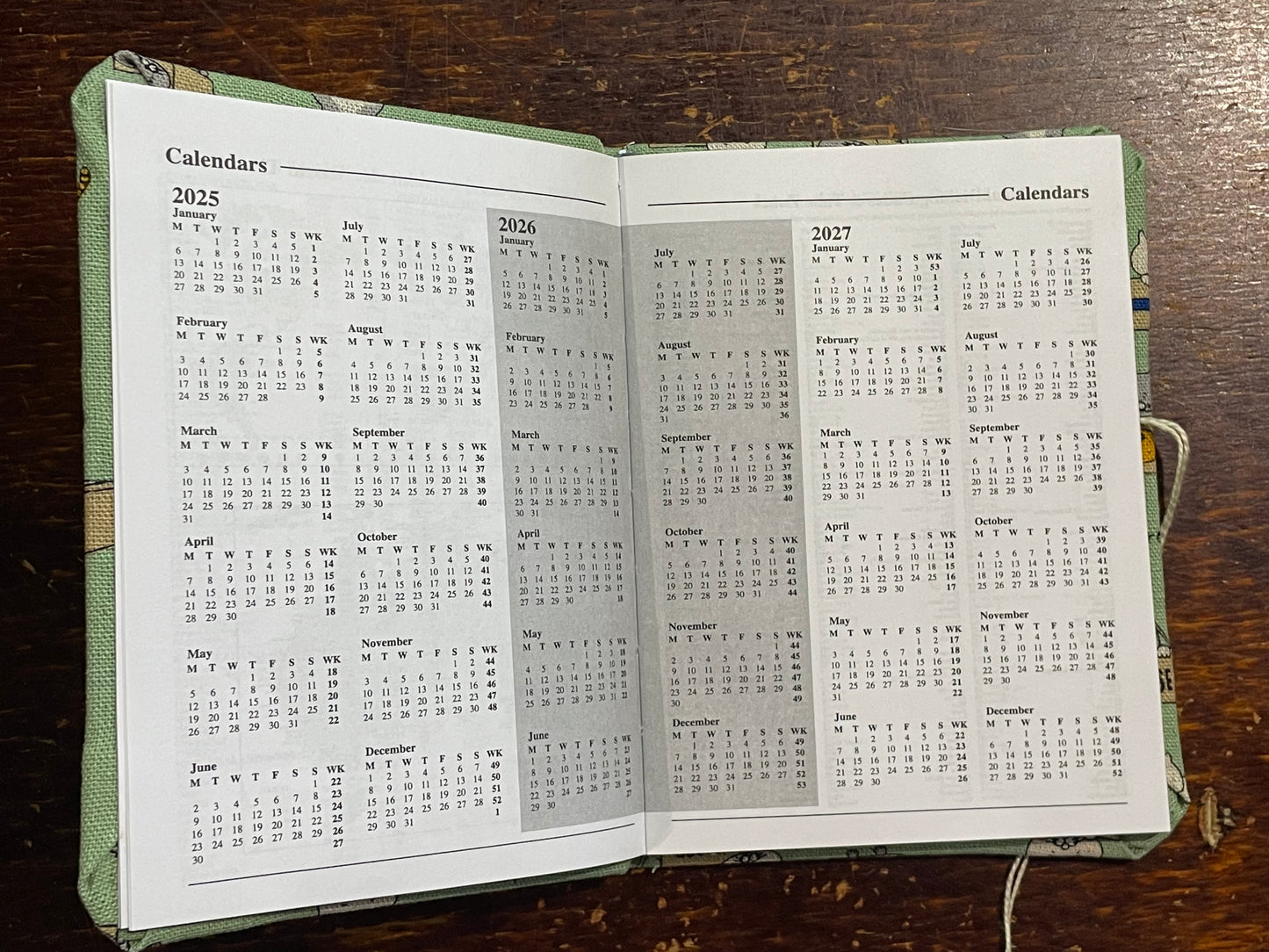 2026 Diary Pocket : Cats in Boxes on Mint