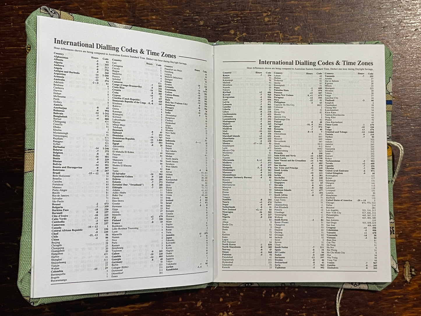 2026 Diary Pocket : Cats in Boxes on Mint