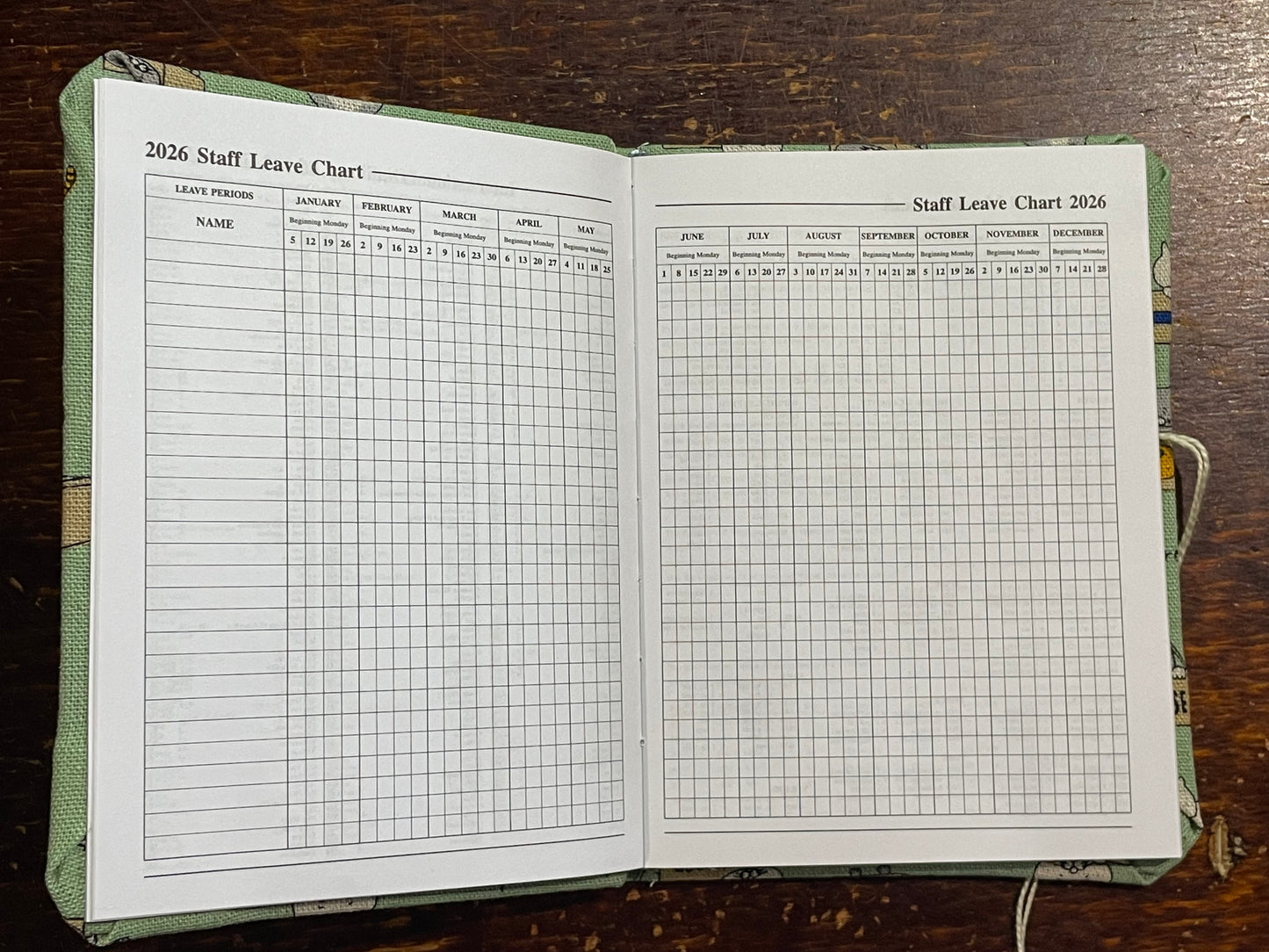 2026 Diary Pocket : Cats in Boxes on Mint