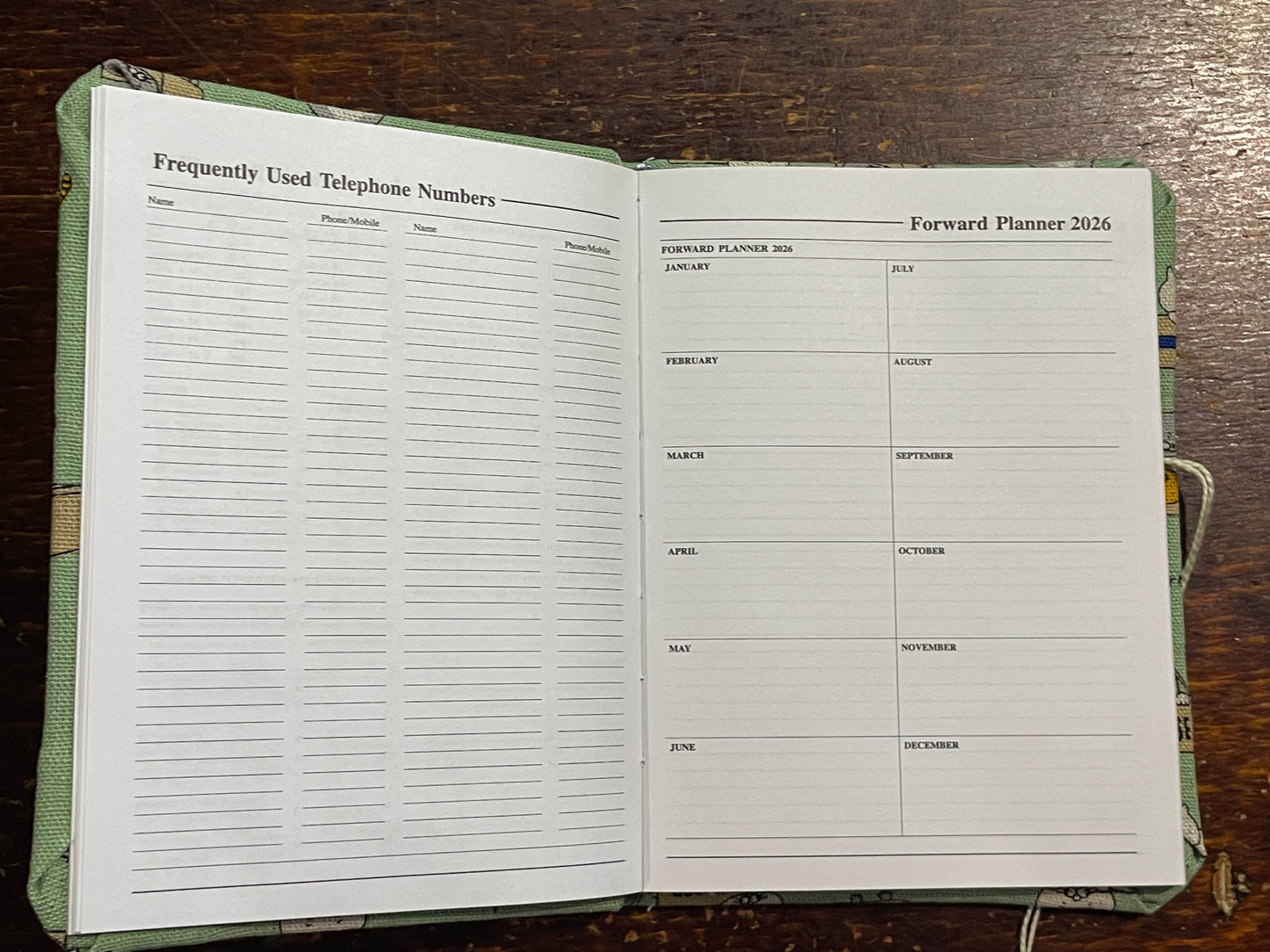 2026 Diary Pocket : Cats in Boxes on Mint