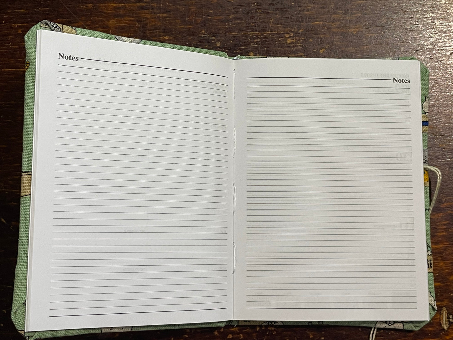 2026 Diary Pocket : Cats in Boxes on Mint