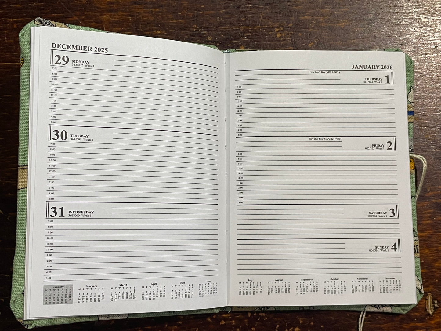 2026 Diary Pocket : Cats in Boxes on Mint