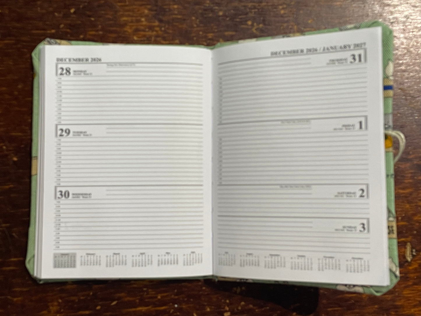 2026 Diary Pocket : Cats in Boxes on Mint