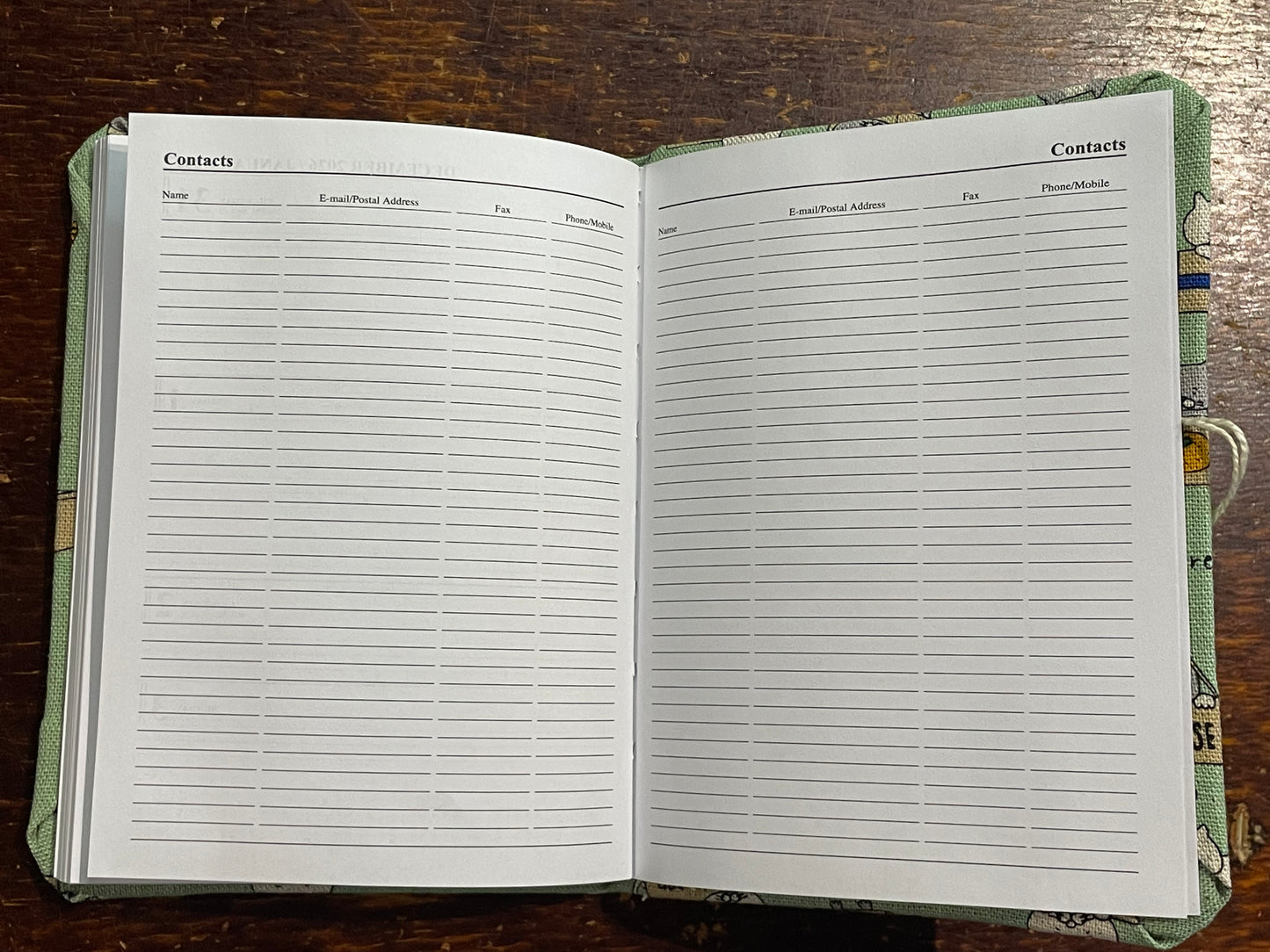 2026 Diary Pocket : Cats in Boxes on Mint