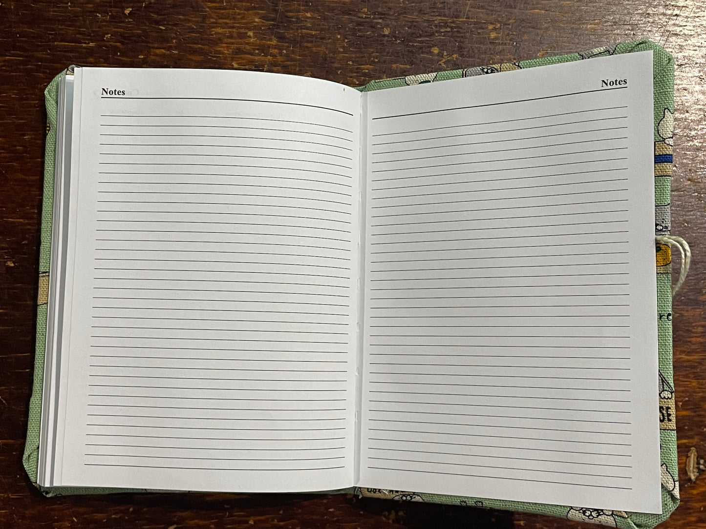 2026 Diary Pocket : Cats in Boxes on Mint