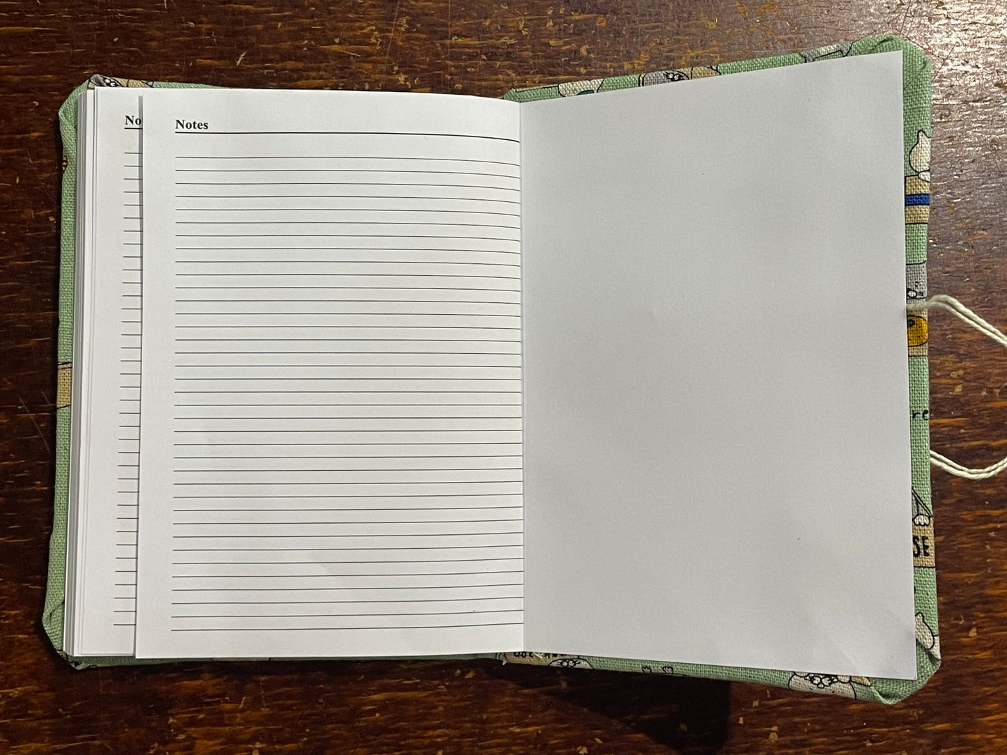 2026 Diary Pocket : Cats in Boxes on Mint