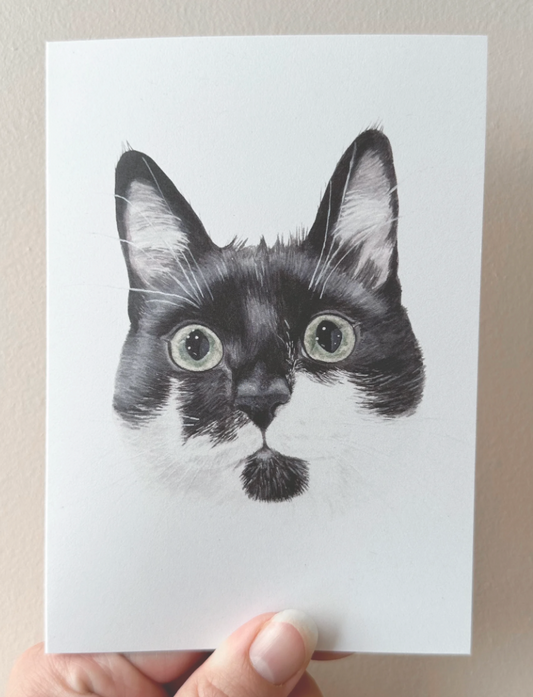 Card : Percy the Tuxedo Cat