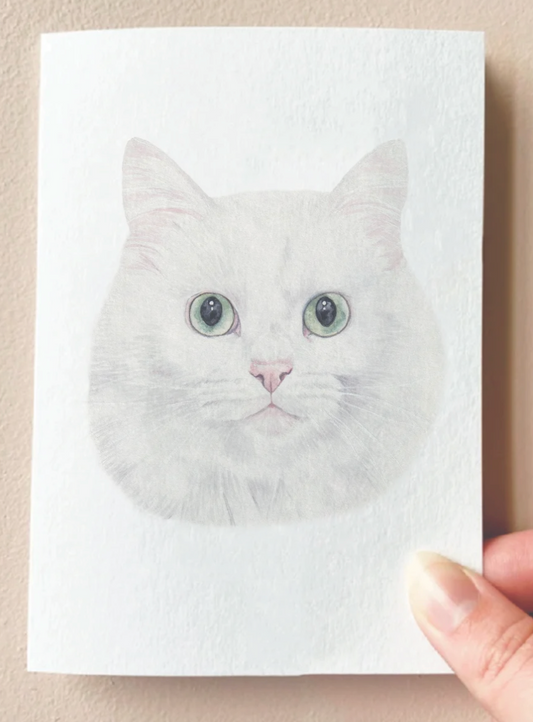 Card : Tia the White Cat