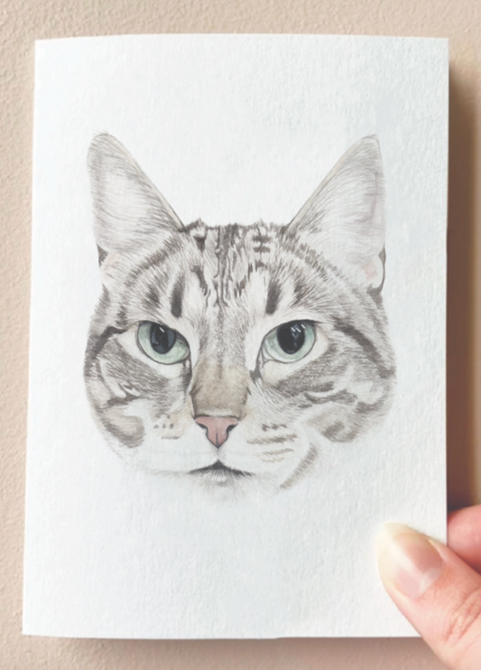 Card : Poppy the Tabby Cat