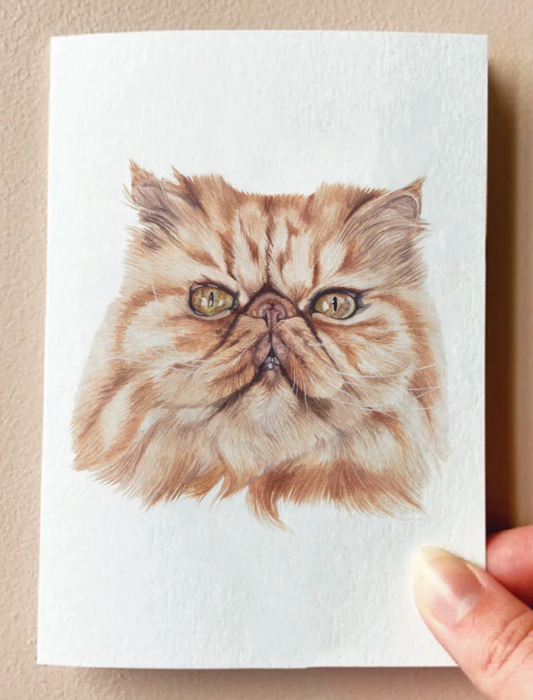 Card : Crookshanks the Persian Cat