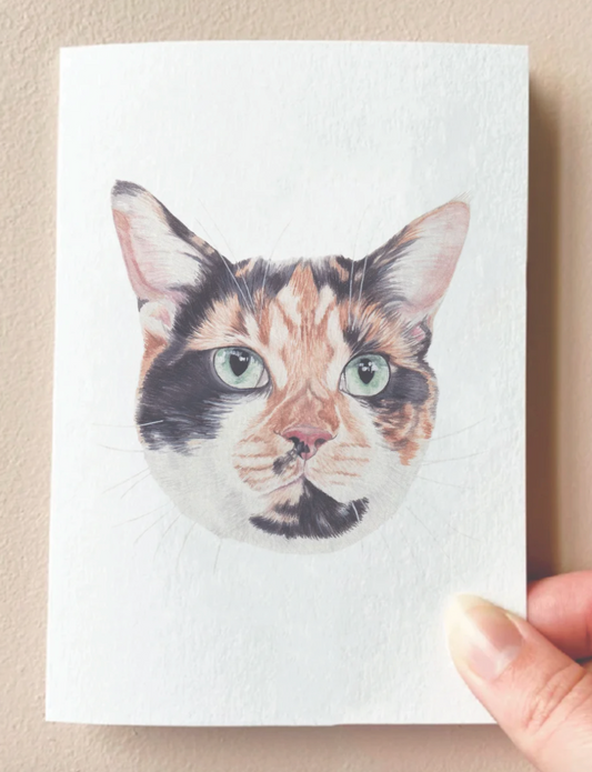 Card : Sushi the Tortishell