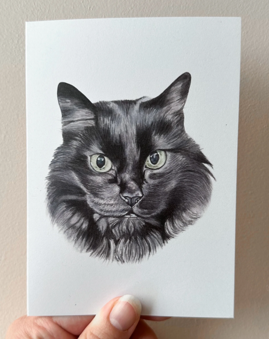 Card : Kalix The Black Cat