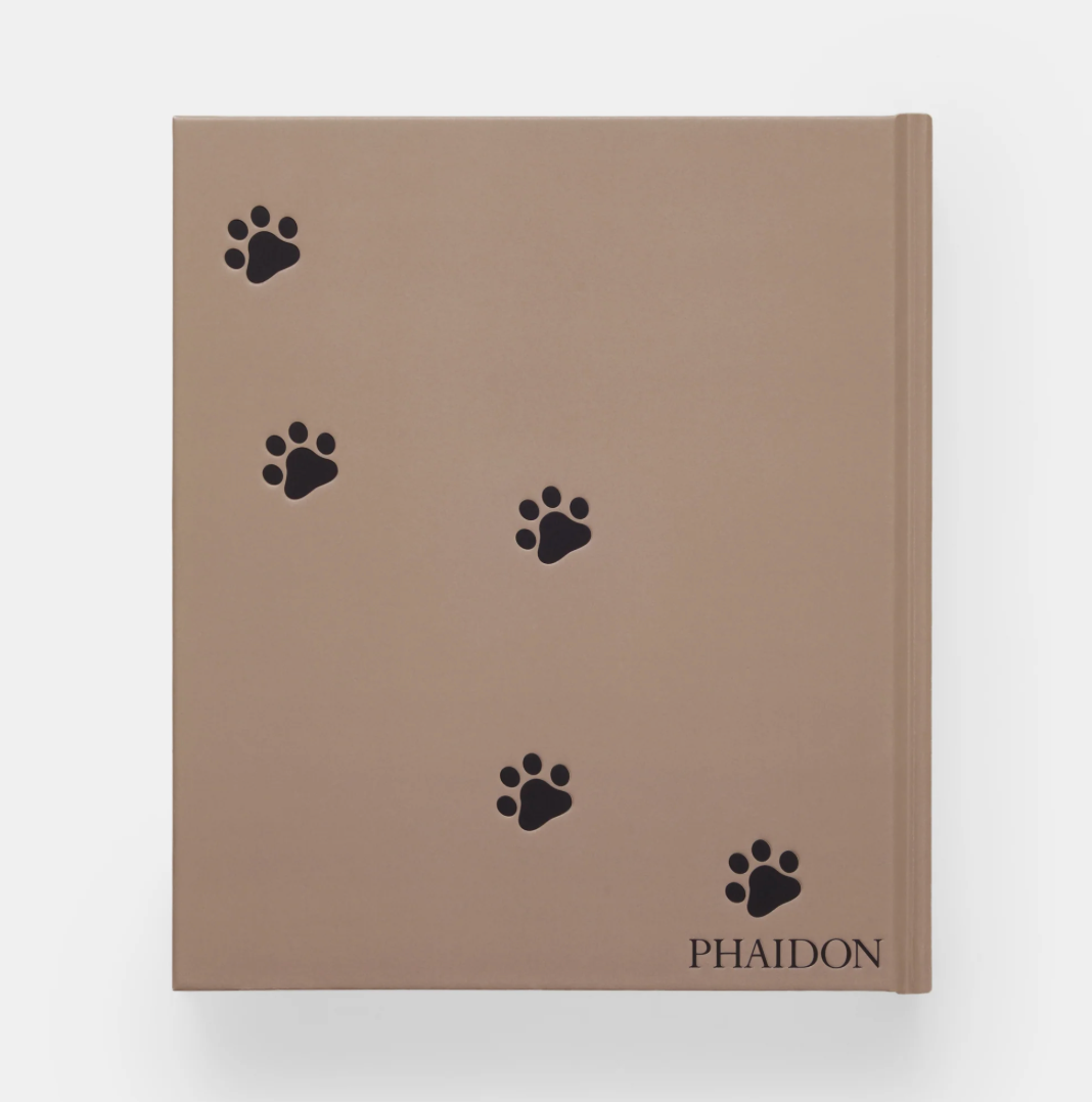 Cat by Phaidon