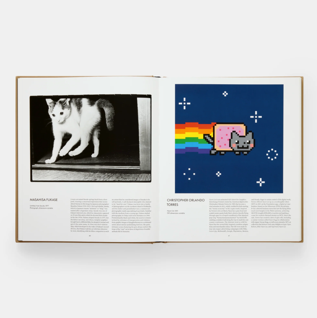 Cat by Phaidon