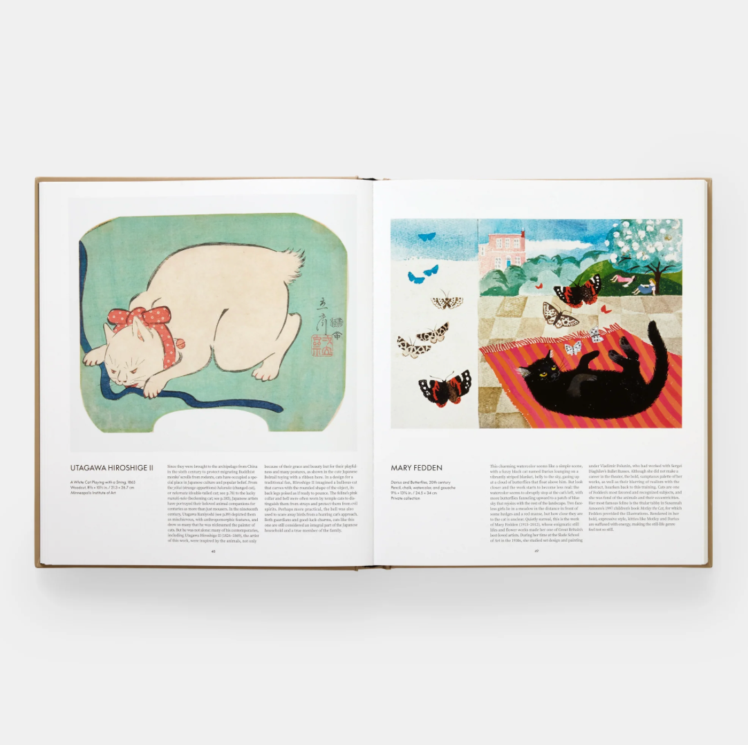 Cat by Phaidon