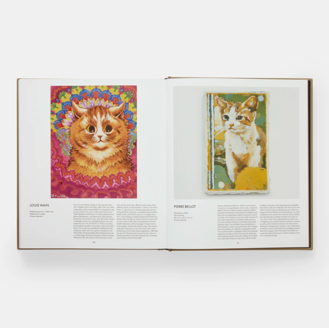 Cat by Phaidon