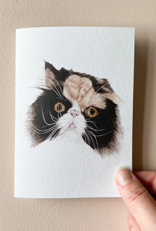 Card : Anastasia The Calico Cat