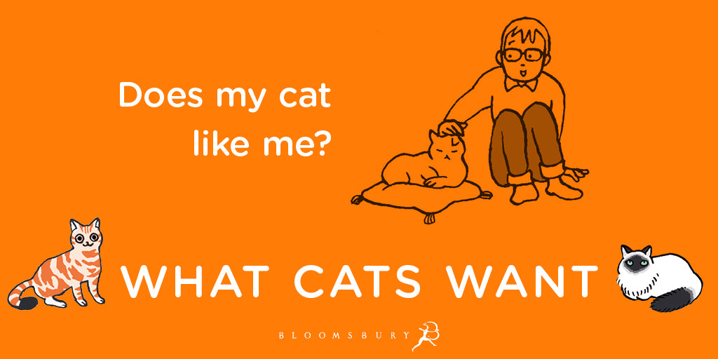 What Cats Want