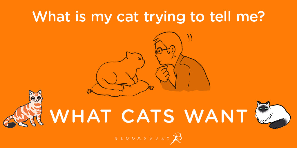 What Cats Want