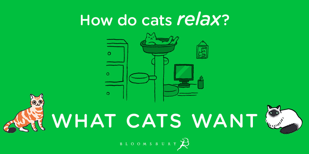 What Cats Want